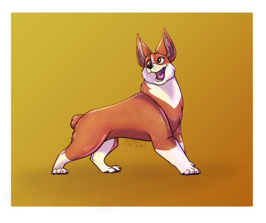 Corgi doggie